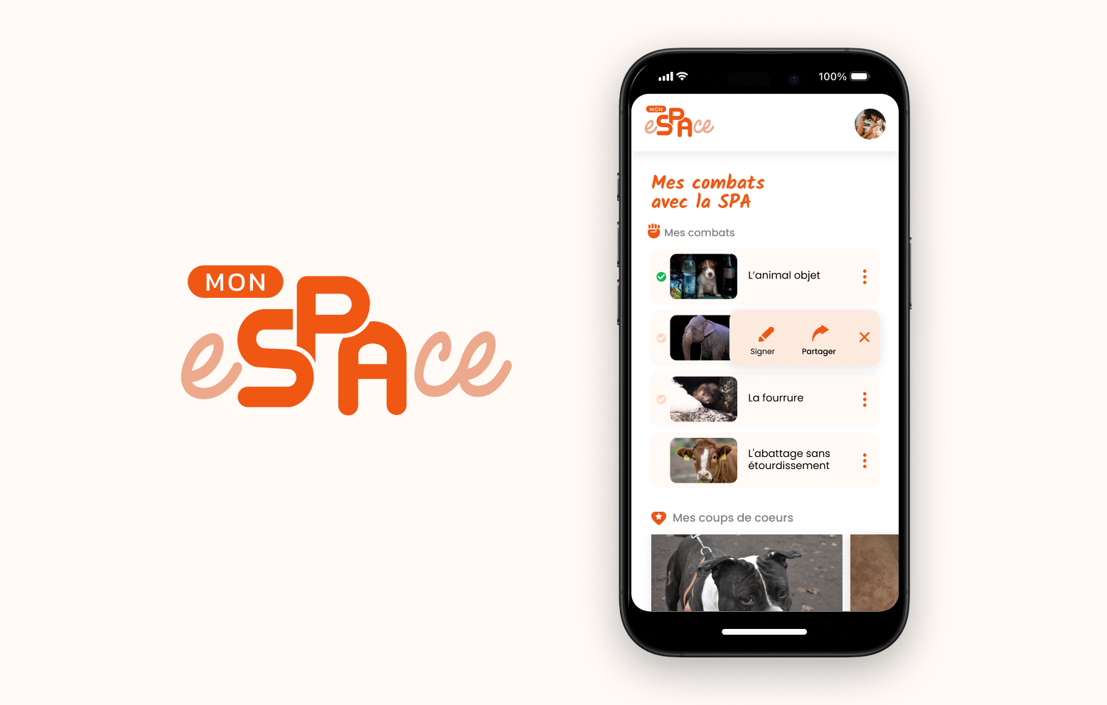 UI / UX / WEB – SPA